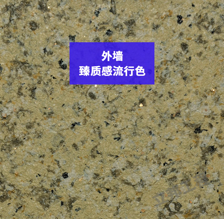 外墻-臻質感流行色